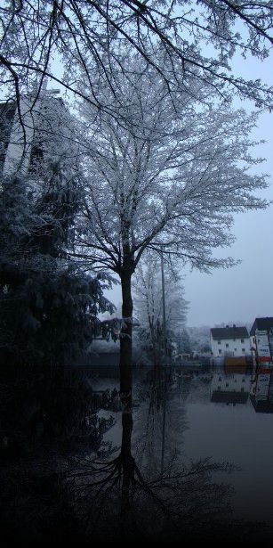 Winterreif auf Baum&auml;sten